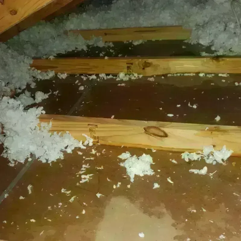 Attic Water Damage in Adams County, MS