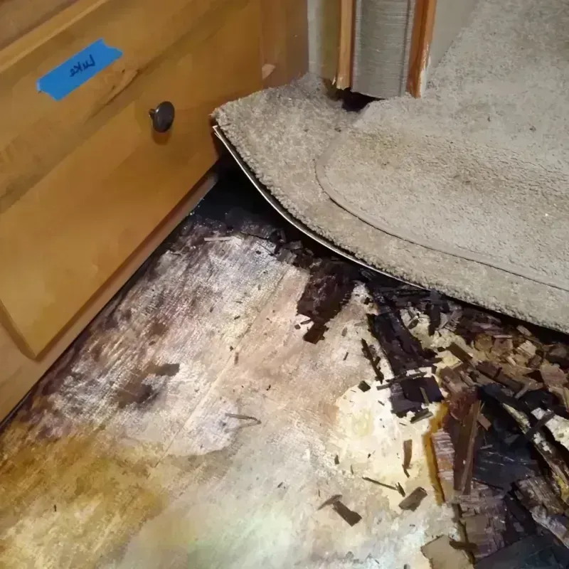 Wood Floor Water Damage in Adams County, MS